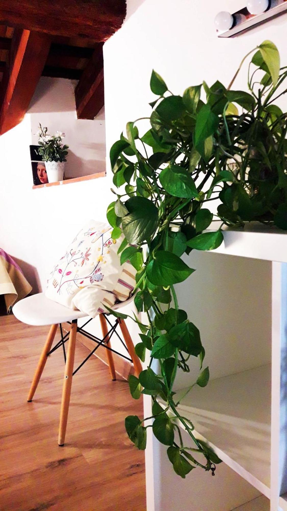 Apartamentos Centricos Barrio Del Carmen Valencia Luaran gambar